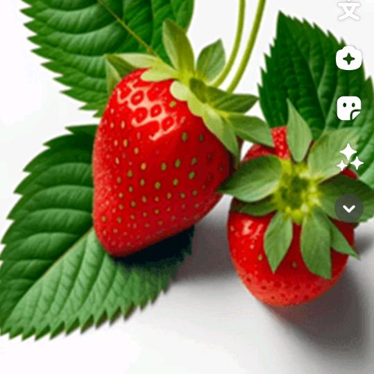 小唐果