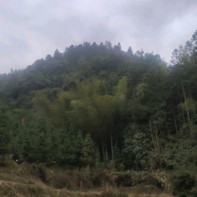 待人情真