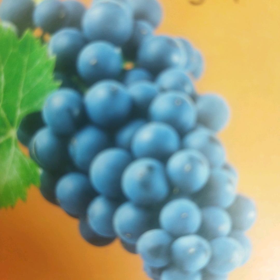 玉姐开心玩抖音