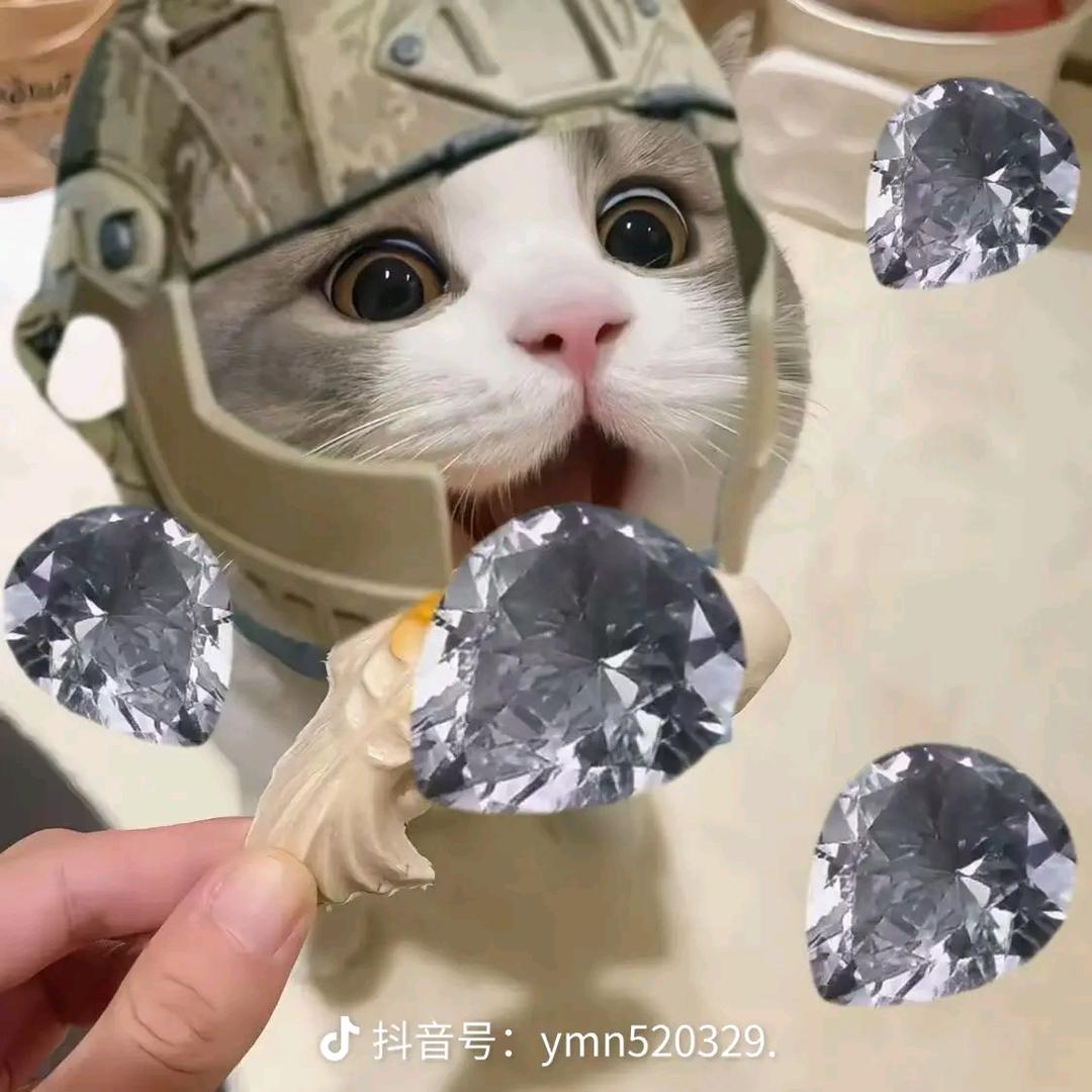 重生之我在三角洲跑刀