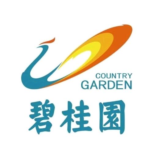 碧桂园在河南