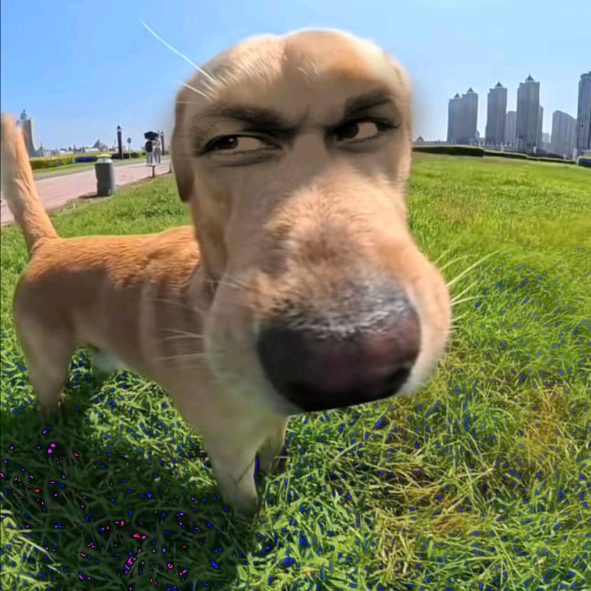 洪浩