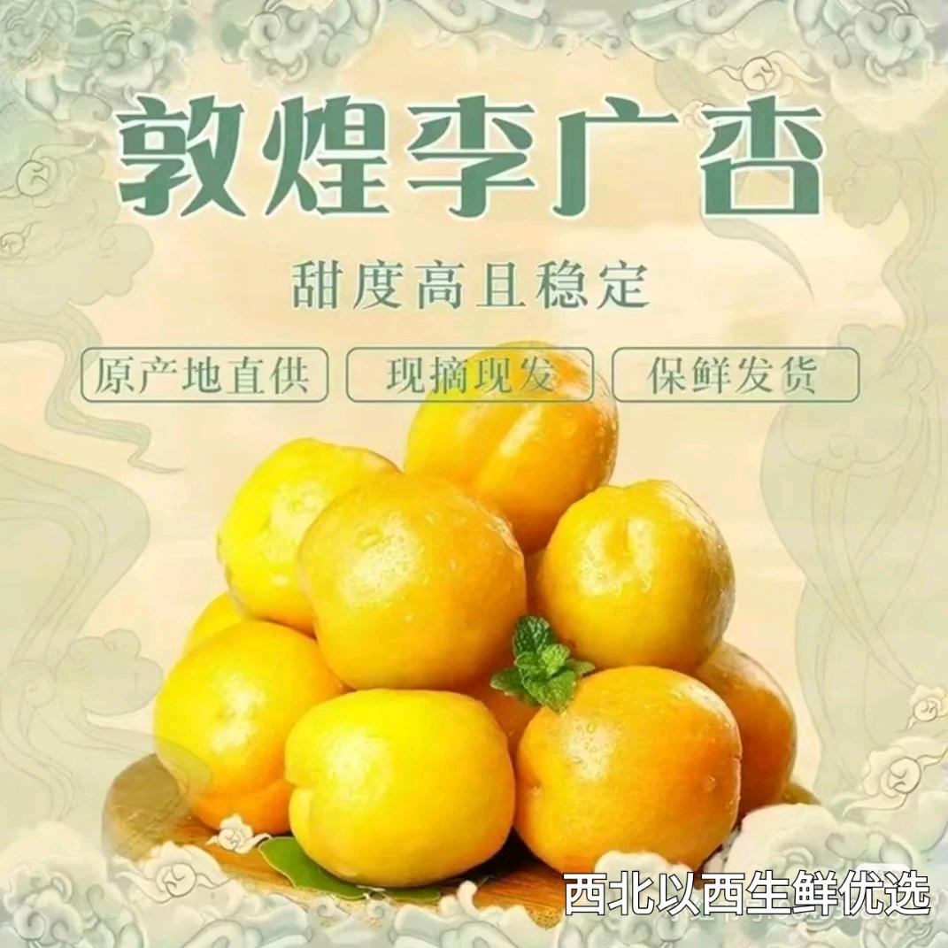 西北以西生鲜优选