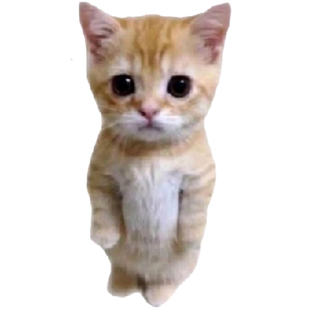 lilfar