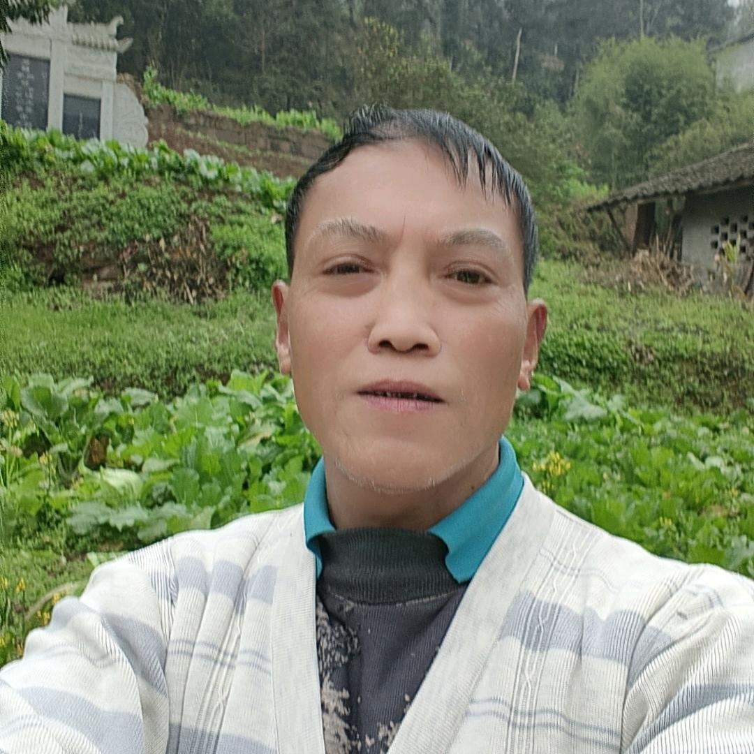 抗揍王3(每天中午Ⅱ点40开)