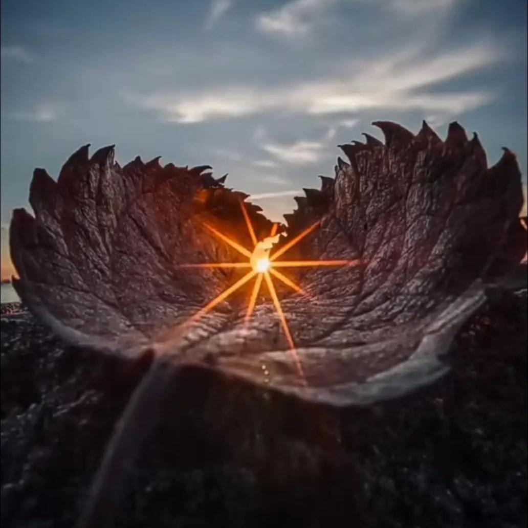 求财不求爱ᡣ𐭩