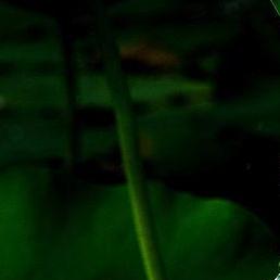 生日礼物图来看看