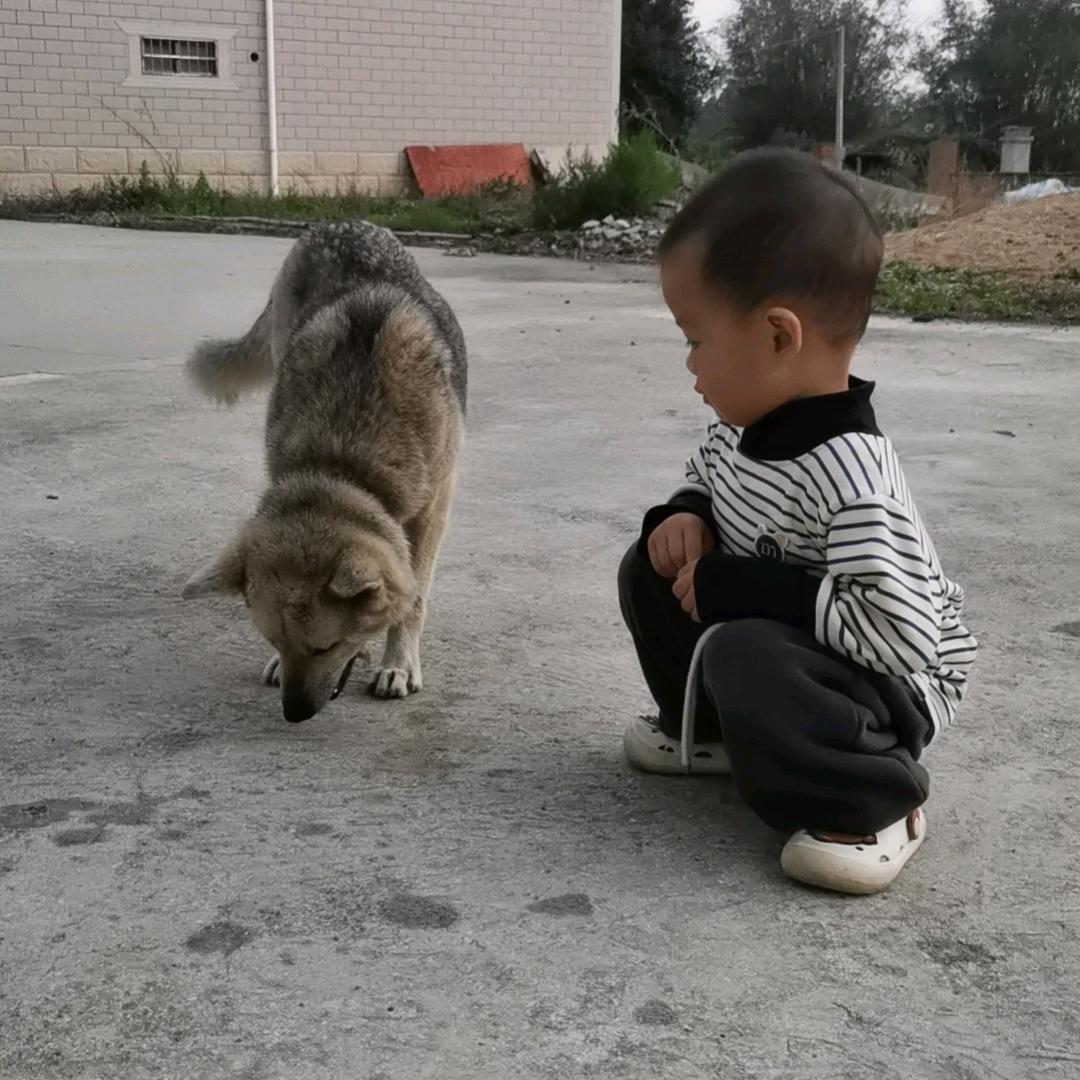 包得懒