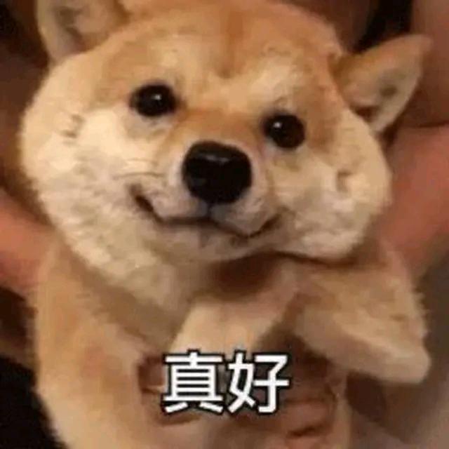 从谷底攀到峰顶