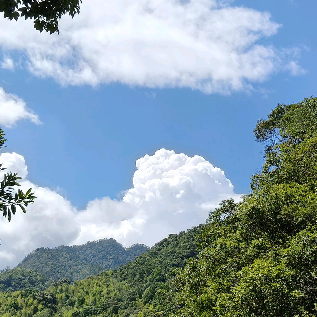 ٩(๛傻 ˘丫 ³头˘)۶♥