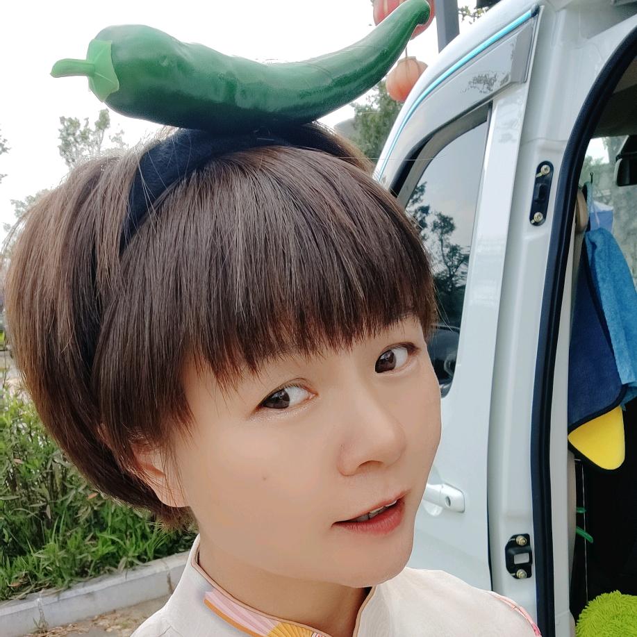 汪汪环游记