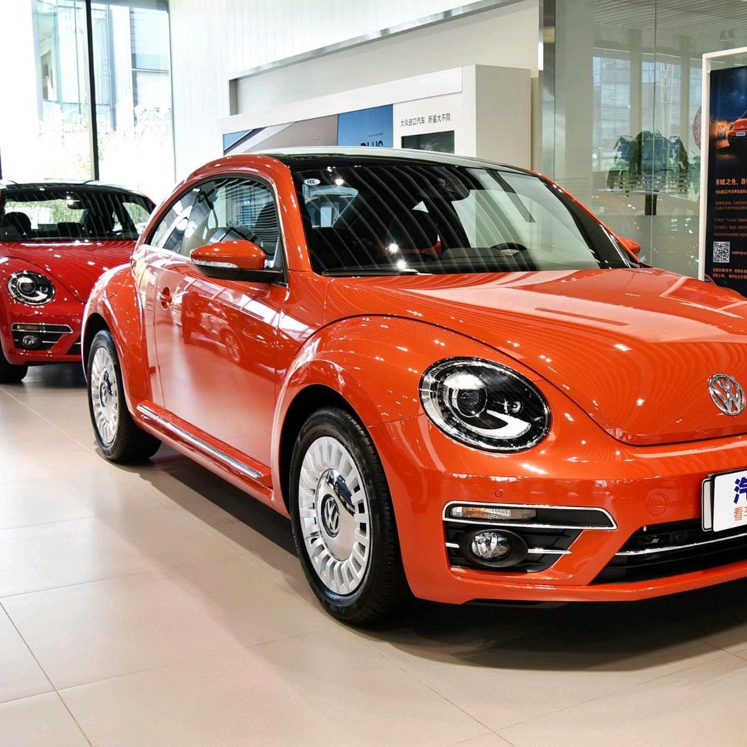 甲壳虫🚗🚙