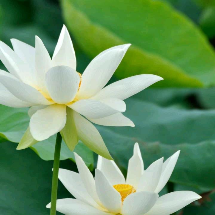 一生平安