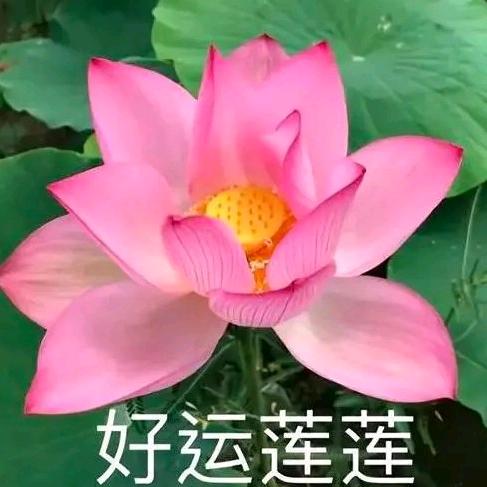 ℒᎭℯ⃝y张ℒᎭ