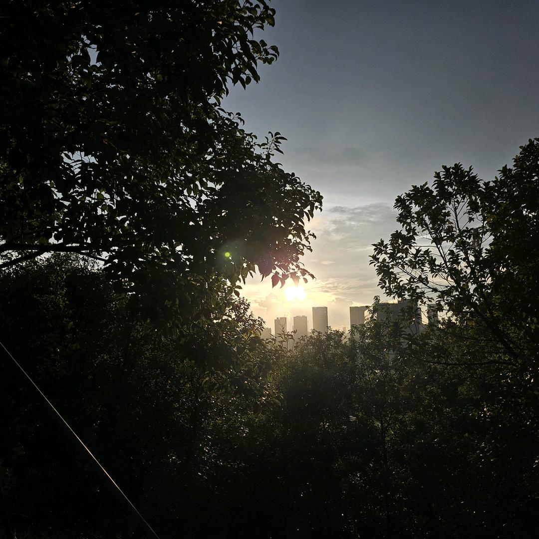 星离雨散