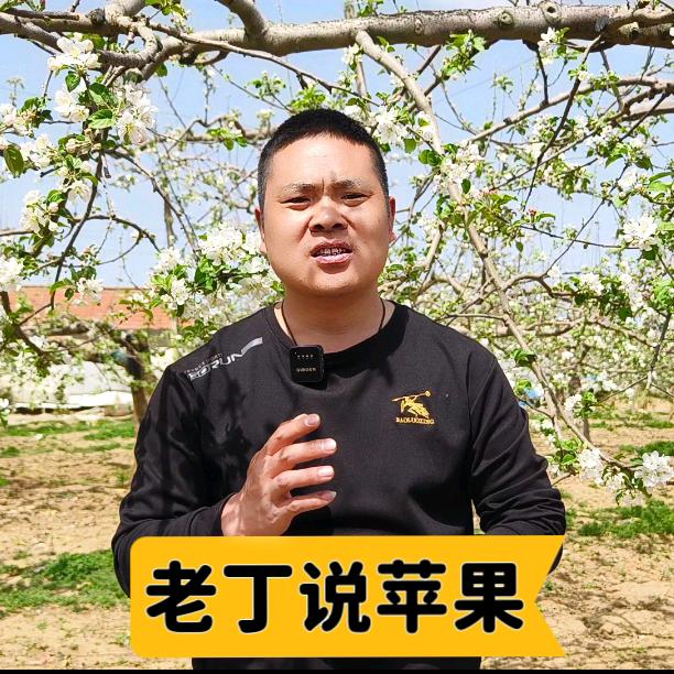 四哥果树植保