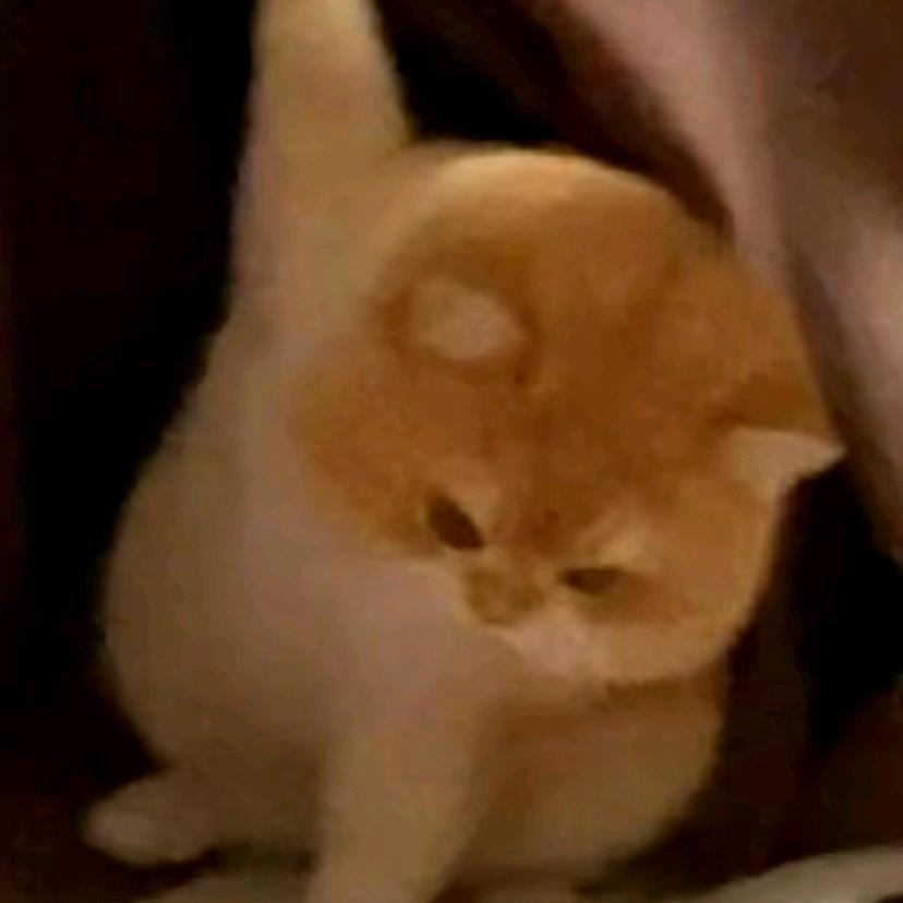 啊库