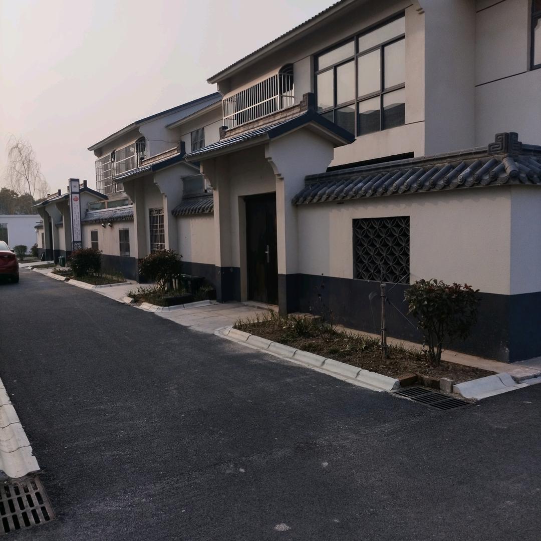 小龙