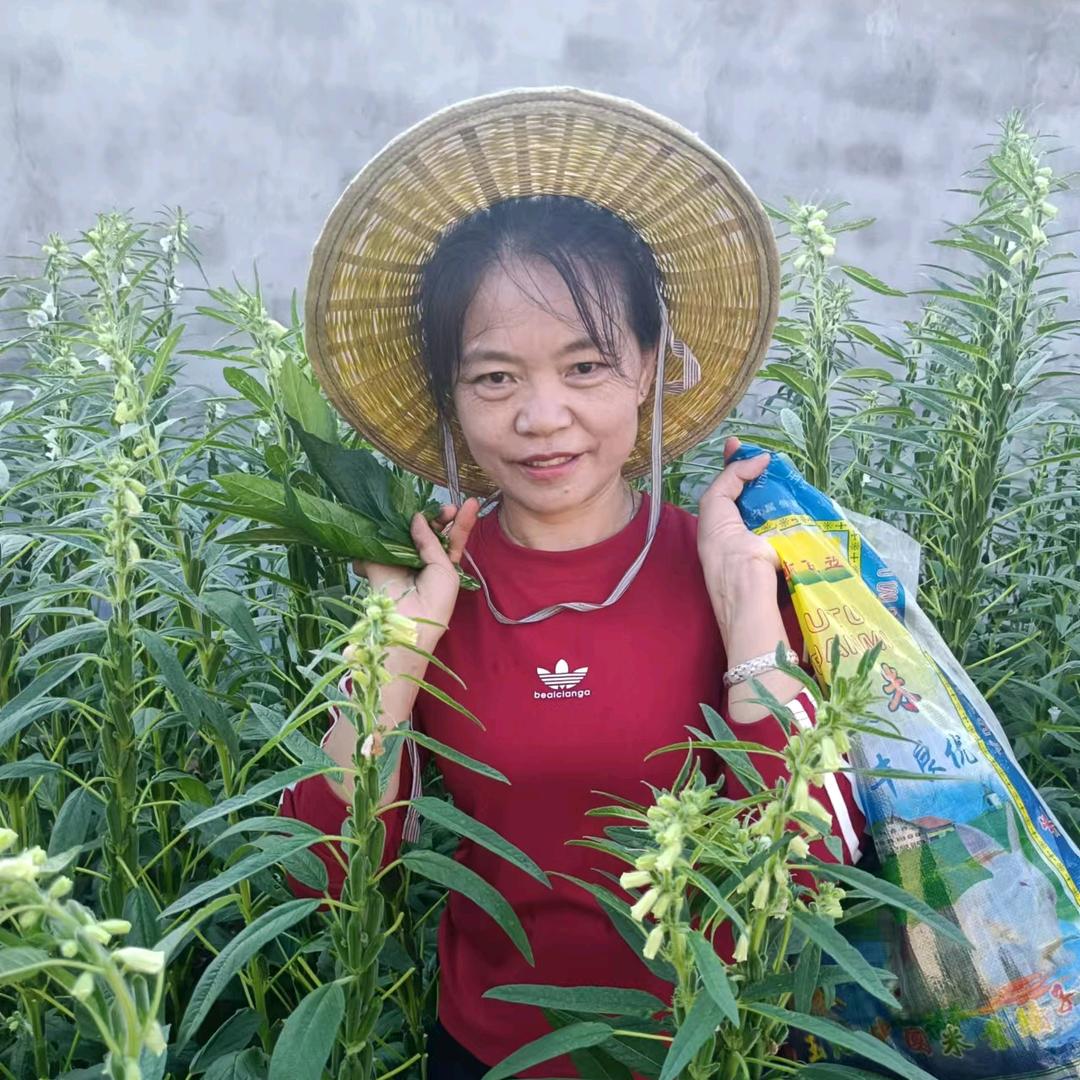 小宇妈，下午3:50首播