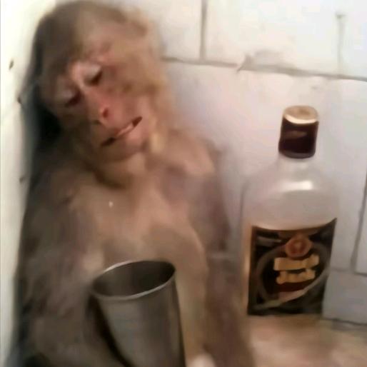 声