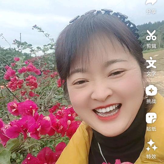 彩云追