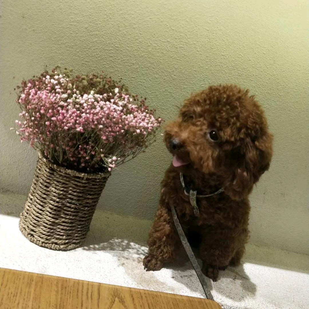 奔跑的蜗牛