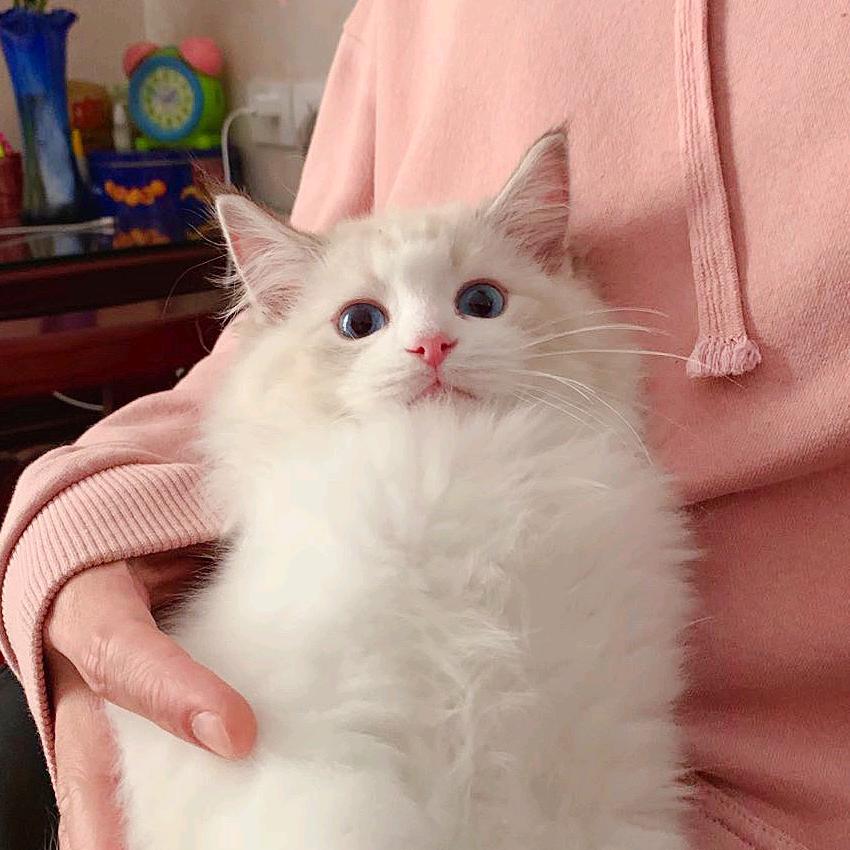良品可
