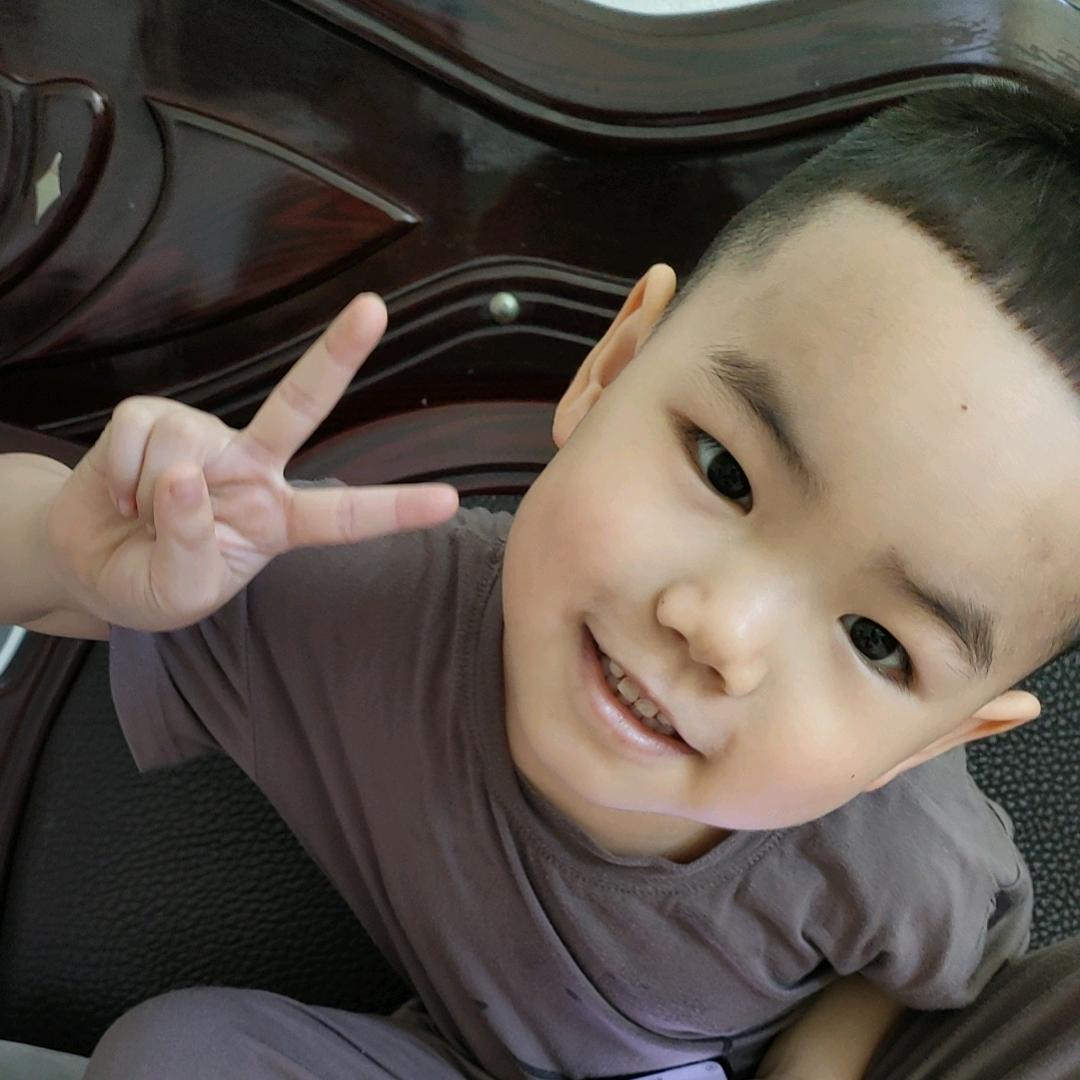 毛毛