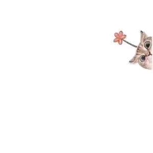 Tiᵕanᥫᩣ小丸子.