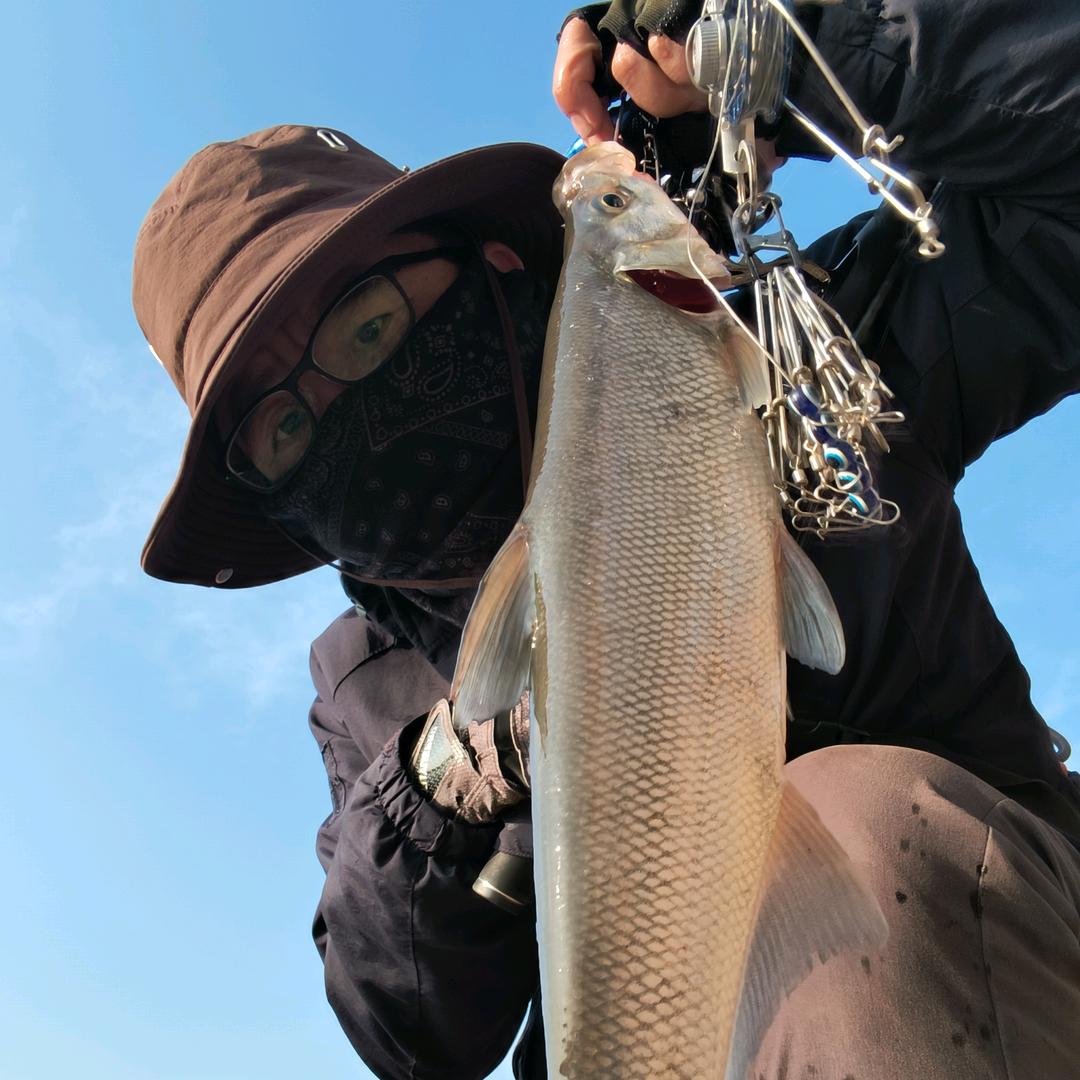 爱钓🎣的松哥