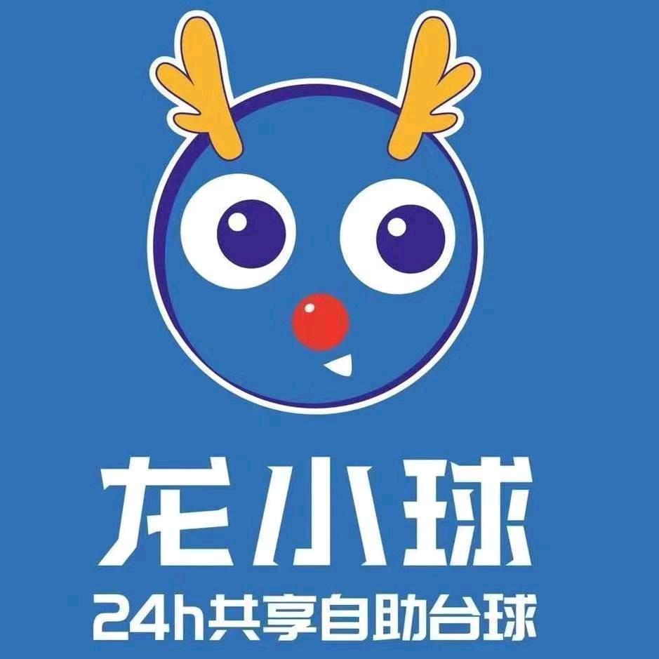 济南龙小球台球俱乐部（徐家庄店）