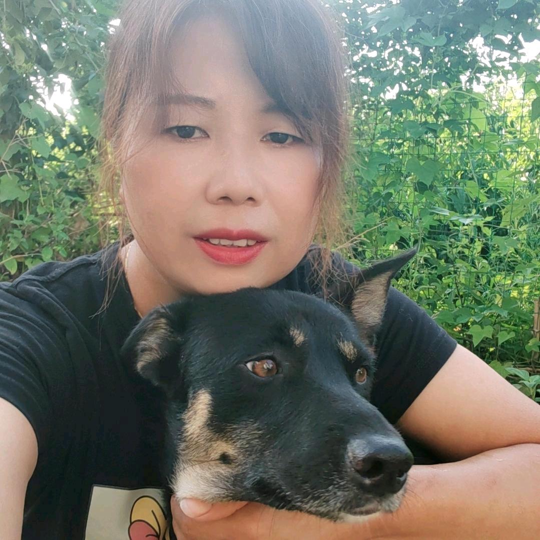 会拉车的小可爱