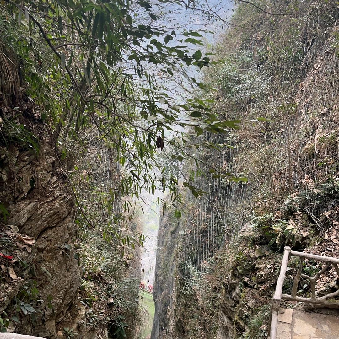 曾经疯过（一字九口）