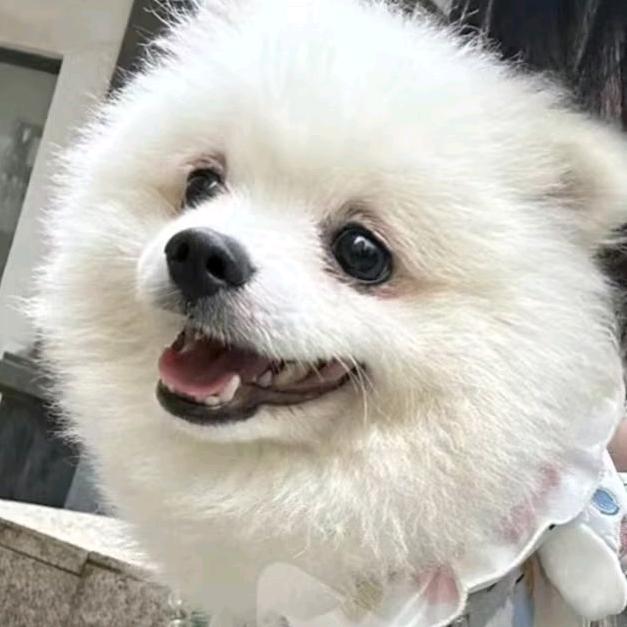 deng不到结尾