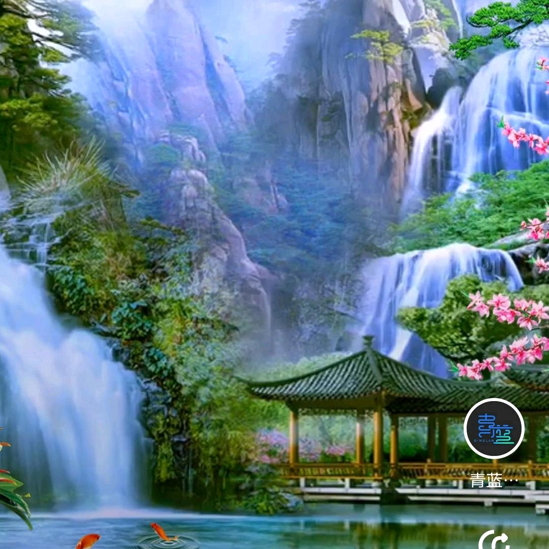 一道彩红