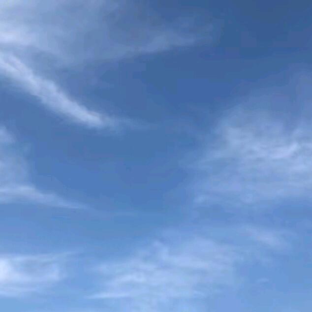 🐇