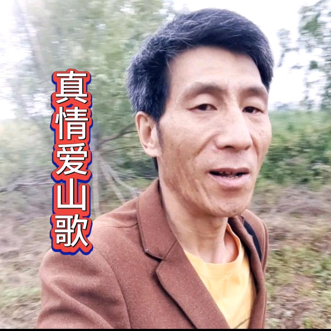 真情哥