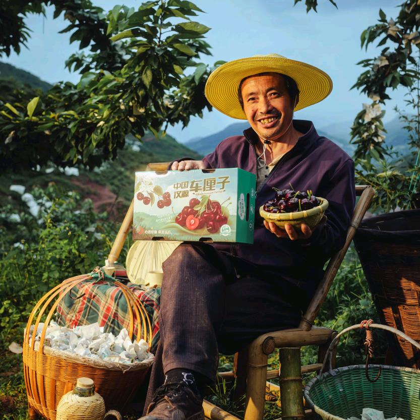 种车厘子的小任🍒