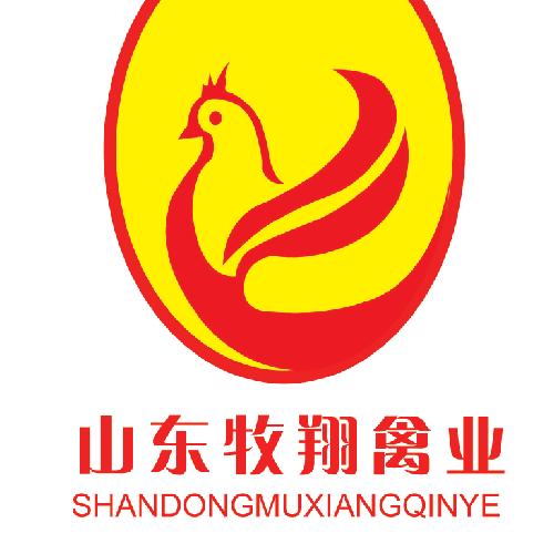 关于蛋鸡那些事儿(-陈书勇)