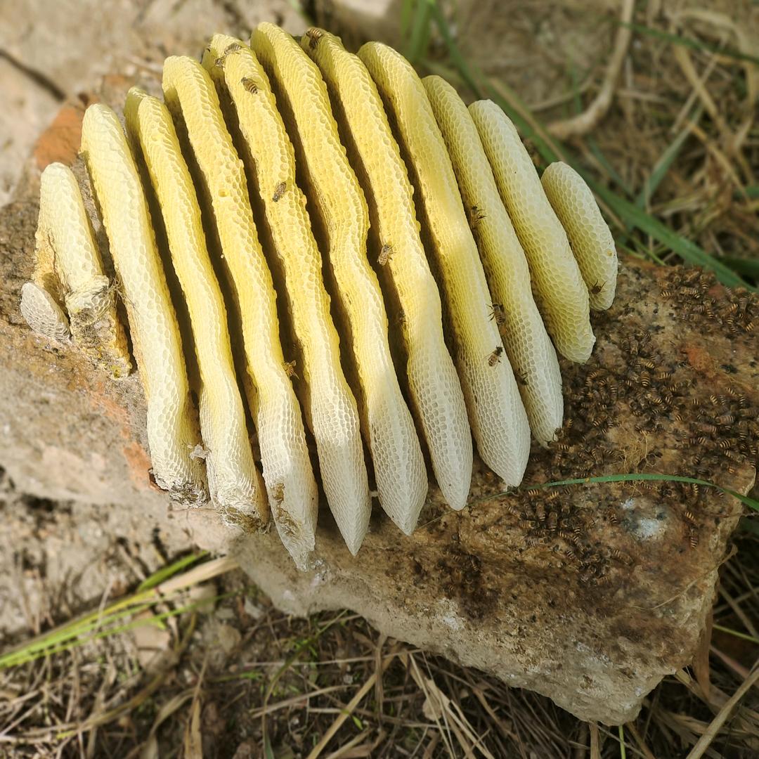 用户9107228123277