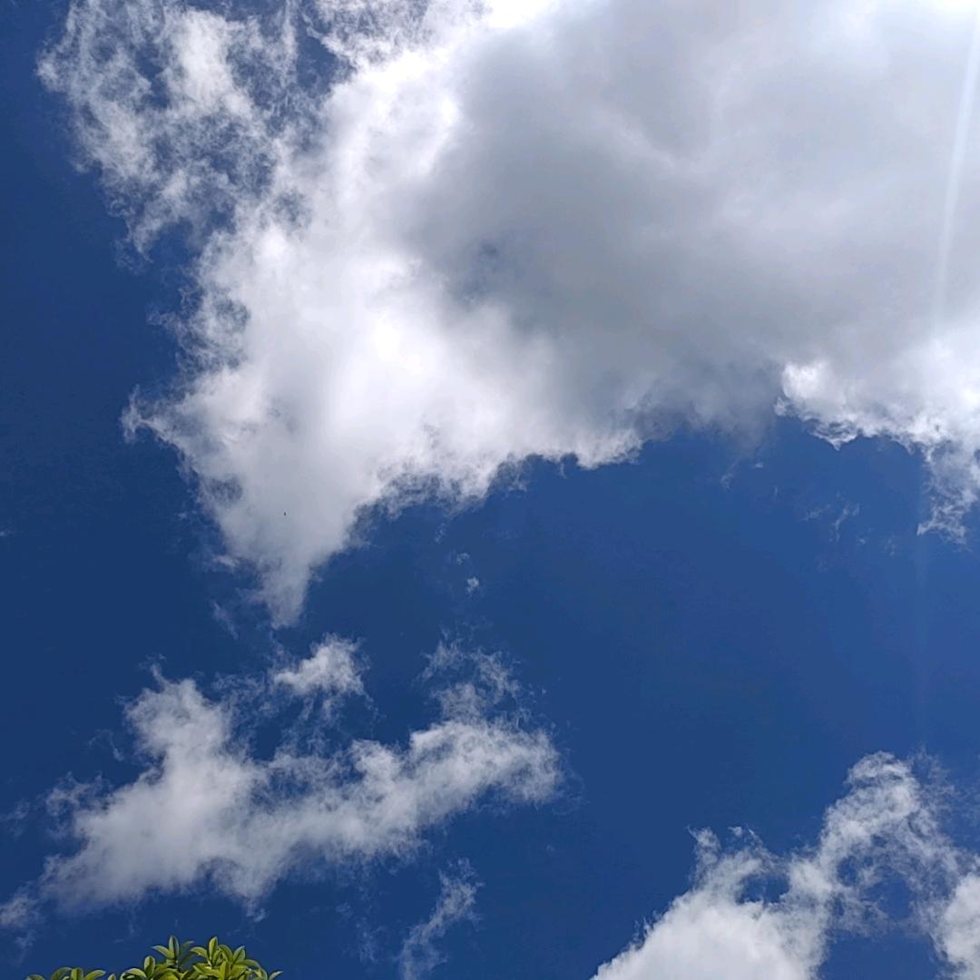 一路生花