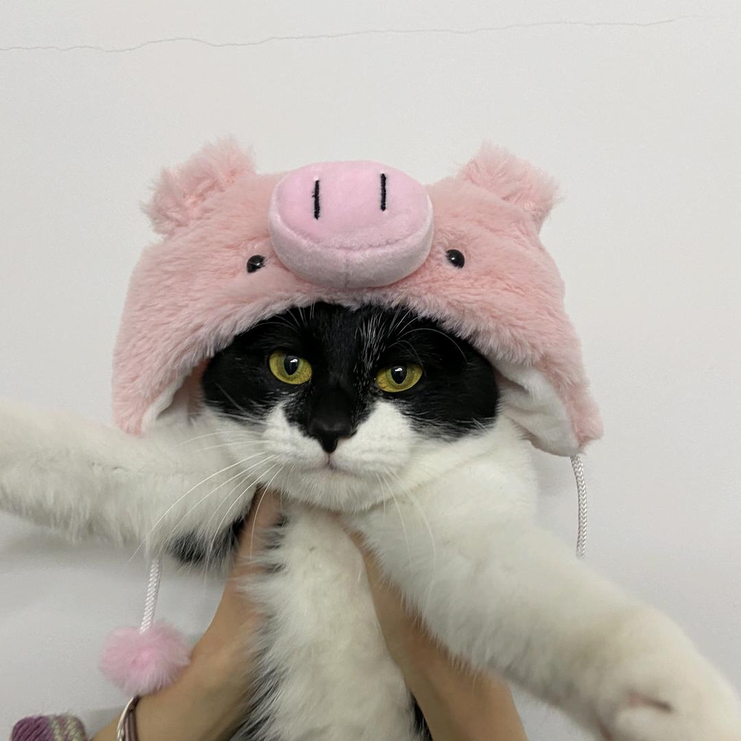 头盔不可或缺