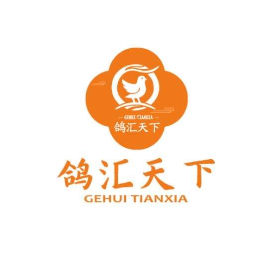 鸽汇天下官方号