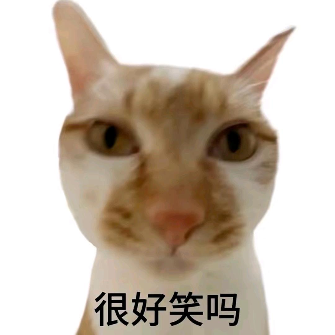 煎饼狗子📷
