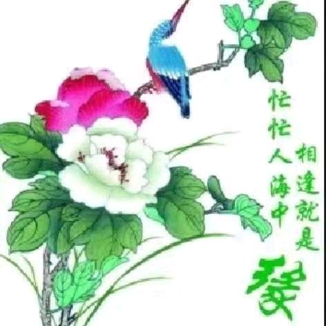 💗᭄为爱🕊꯭᭄꯭ꦿ牵挂ོꦿ࿐