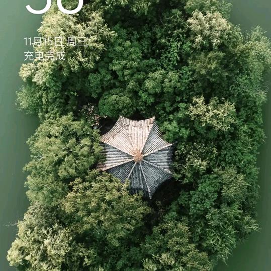 浪子的心