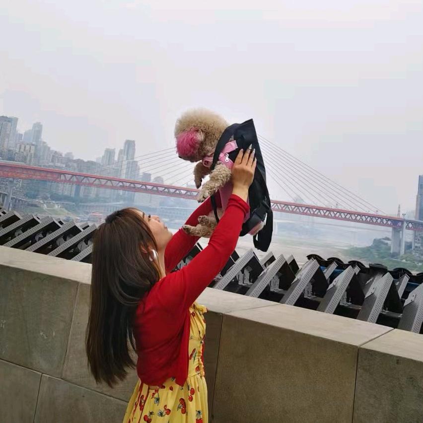 球球