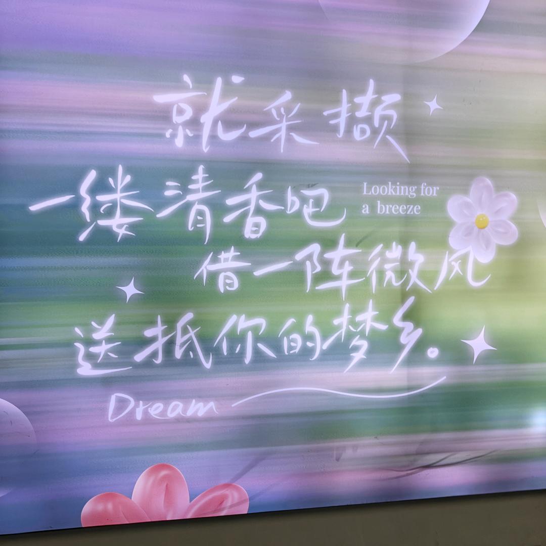 煤球