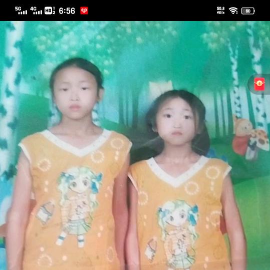 贺杨鑫宸