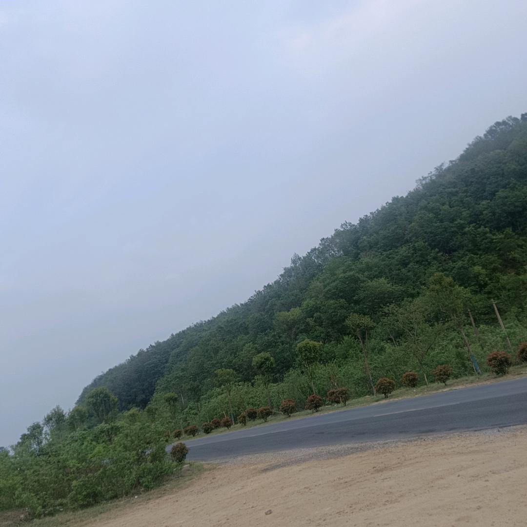 飞鸟与射手